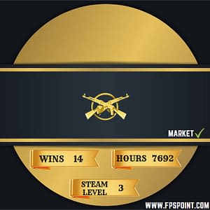 , CSGO HIGH HOUR ACCOUNTS